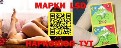 стафф Славгород