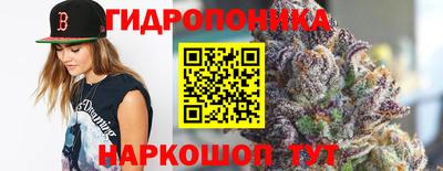 гашик Славянск-на-Кубани