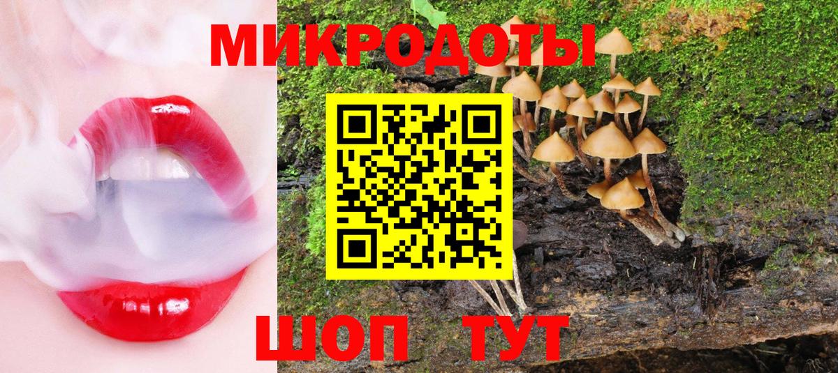 Осинники  Псилоцибиновые грибы MAGIC MUSHROOMS  Галлюциногенные грибы ЛСД  Вход с VPN 