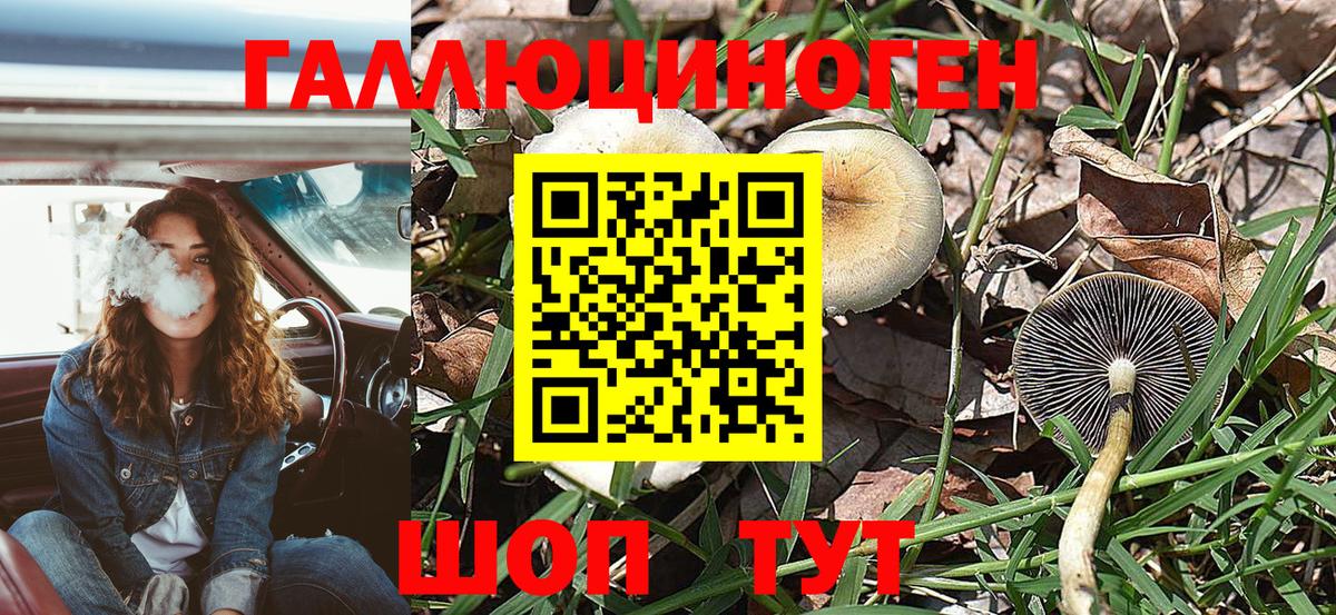 Галлюциногенные грибы мицелий Осинники